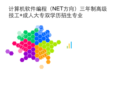 广州软件开发者的校际探访 从江南鸟叔到白云技工学院的教育视角